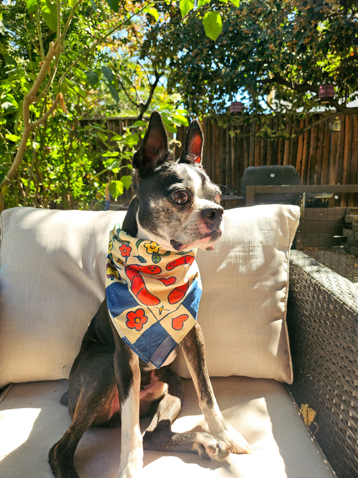 love worms Cotton Bandana